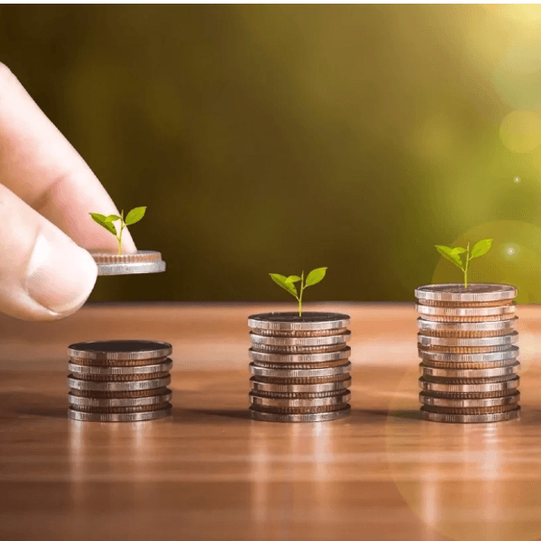 Financial planning Nerang